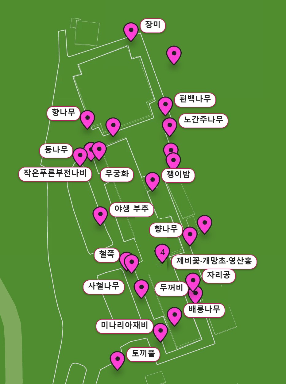 핀 옆에 관찰한 생물 이름표를 붙인 교정 생태지도